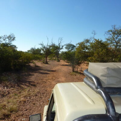 Lodging & Areas - Safari Drive