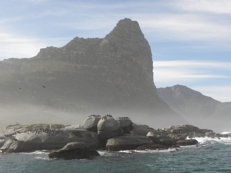 Sightseeing - Cape Town Seal Island