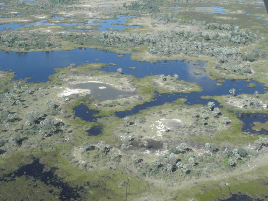 Sightseeing- Okavango Delta